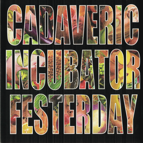 Cadaveric Incubator : Cadaveric Incubator - Festerday